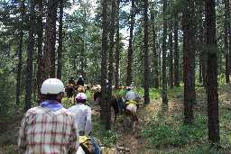 Negotiating rocky slope on trail to Harlan